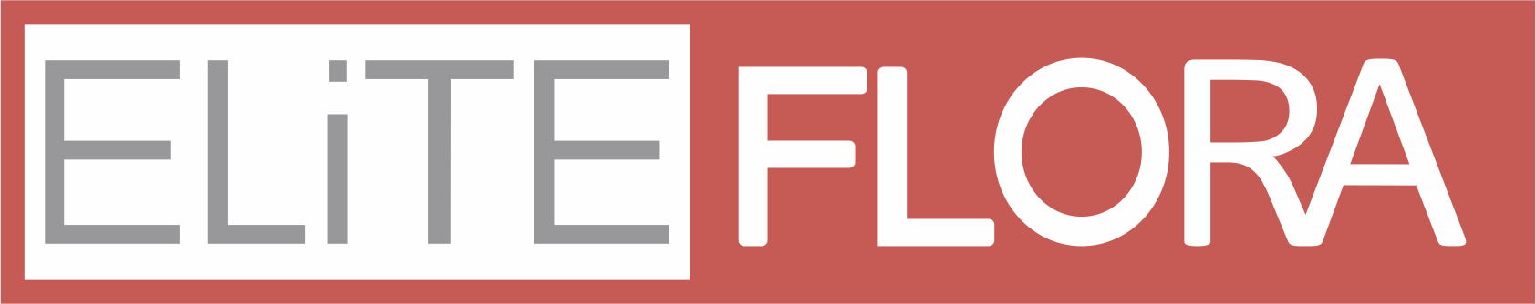 Elit Flora Online Çiçek