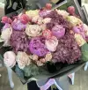 astilbe