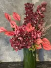 aspidistra