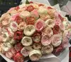 ekvator rose
