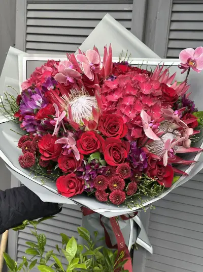 leuceospermum
